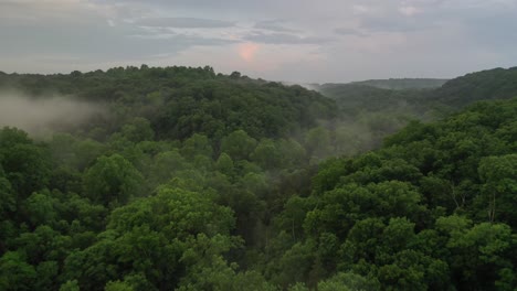 hilly landscape covered in forest in early morning with rising mist