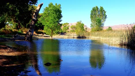 morning shadows in nevada wetlands and lake shore