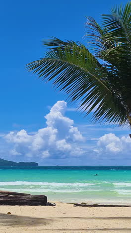 Vertical-View,-Exotic-Tropical-Island-Scenery,-White-Sand-Beach,-Palm-Tree-and-Turquoise-Sea