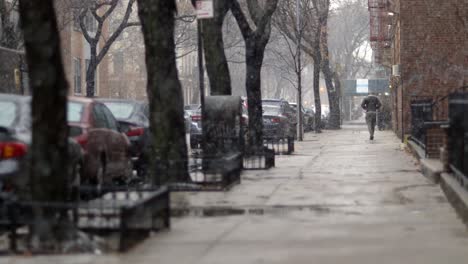 Hombre-Paseando-Por-La-Calle-De-Brooklyn-Bajo-La-Nieve-En-La-Ciudad-De-Nueva-York---Plano-Medio-Estático-En-Cámara-Lenta