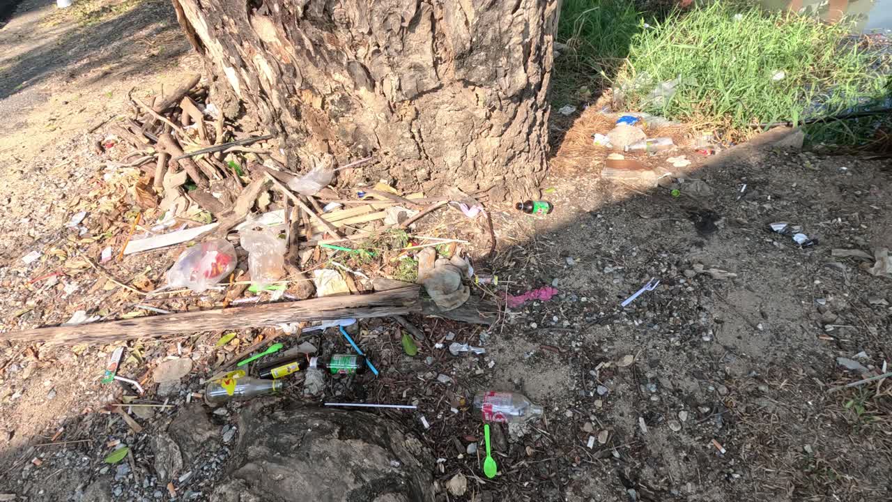 basura progresiva alrededor de los árboles a lo largo del tiempo