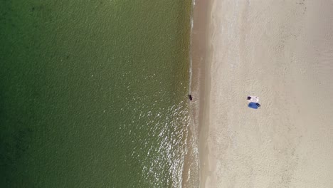 hombre buceando en agua verde