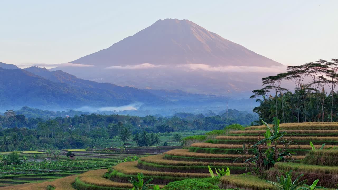 Aerial sunrise view over stepped rice paddies with mountain rising on the background. The rising sun paints the sky in soft hues of orange. Pure serene nature.