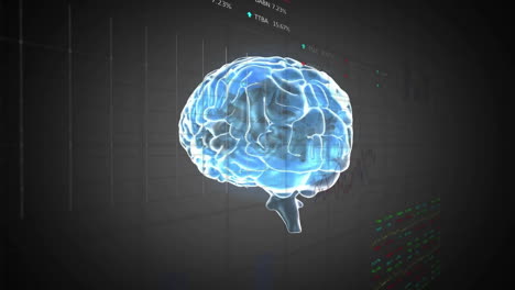 Animación-Del-Procesamiento-De-Datos-Financieros-Sobre-Cerebro-Digital-Sobre-Fondo-Negro