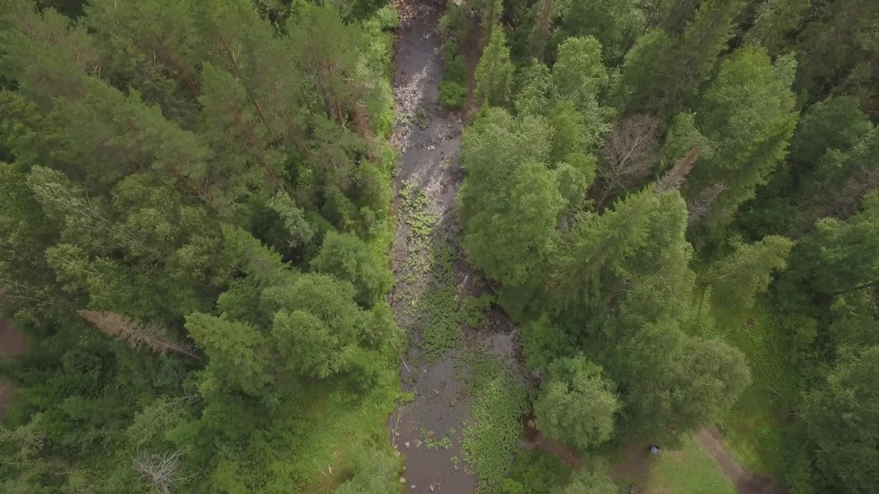 vista aérea de un río que fluye a través de un bosque