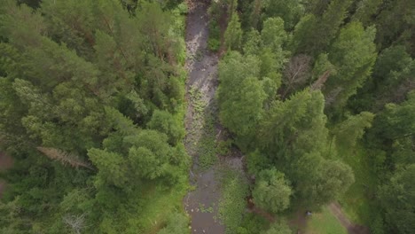aerial view of a river flowing through a forest