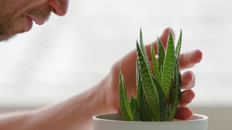 man talking to a houseplant and petting it next to a window