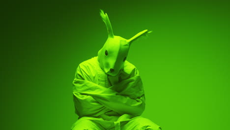 person in a bunny mask and straightjacket
