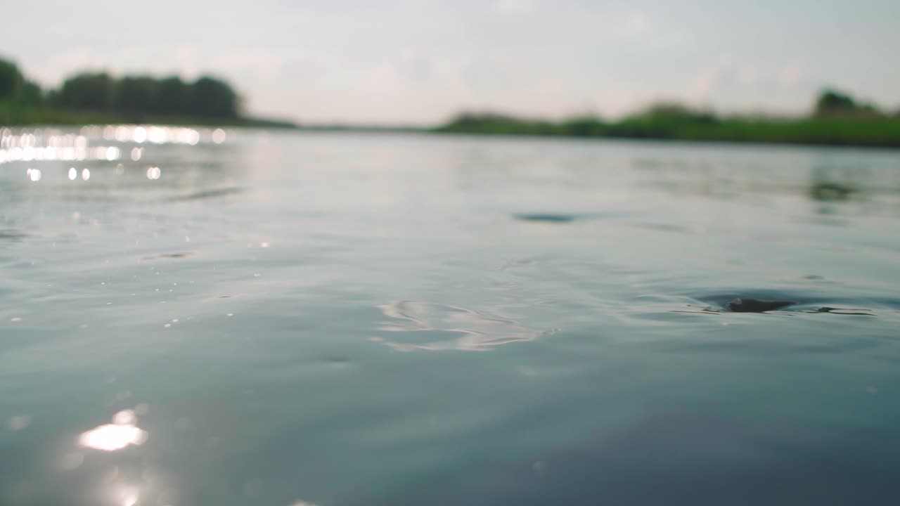 반짝임을 만드는 민물 흐름의 근접 촬영과 물 표면의 눈부심