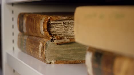 archivista que maneja libros antiguos