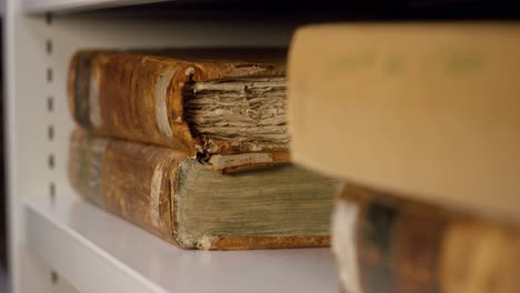 archivist handling antique books