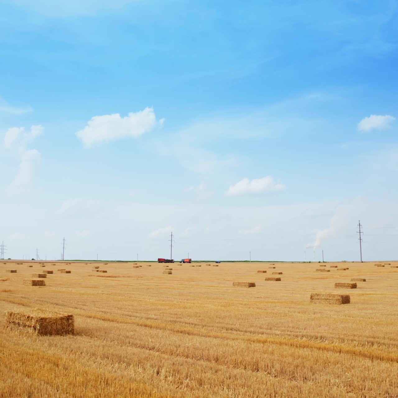 Gul landlig plantage med skåret hvede på en solrig sommerdag. Halmballer ligger på marken. Landbrugsmaskiner i baggrunden
