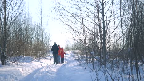 family skiing in winter forest