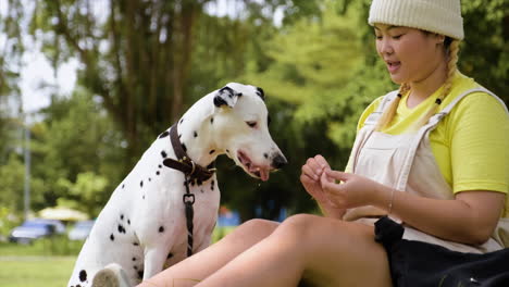 woman training dog