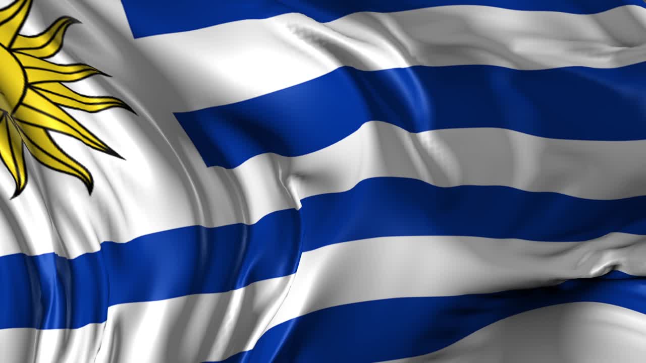 우루과이 발의 아름다운 3d 애니메이션 루프 모드