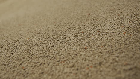 a close up of a pile of soy beans