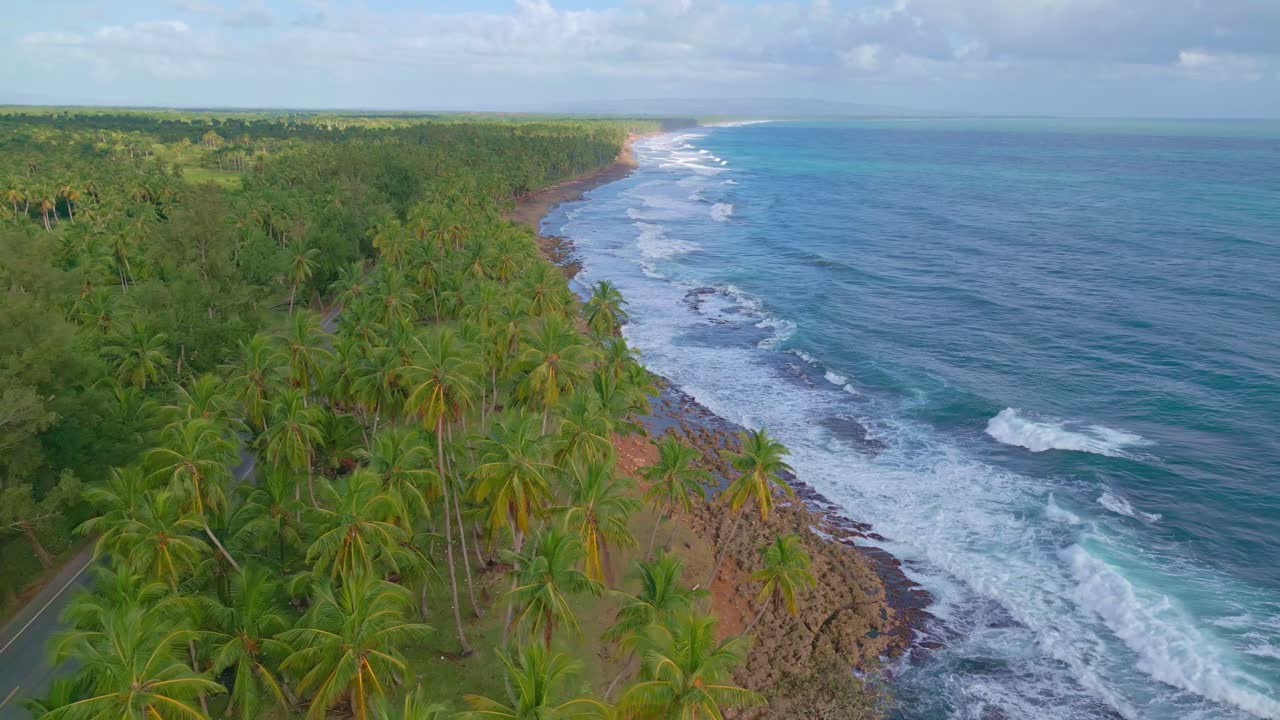 Tomada aérea reversa de carros circulando em estrada costeira cercada por palmeiras e o Mar do Caribe em um dia ensolarado