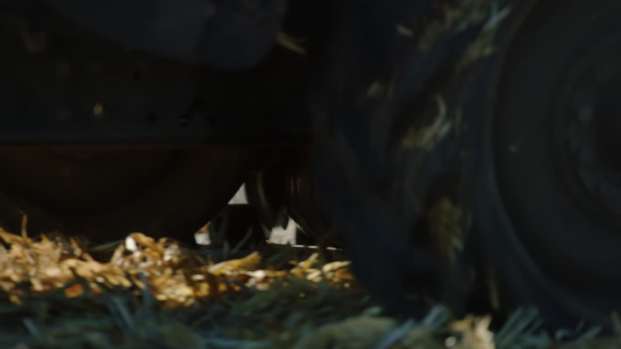 Tractor Trailer Harvest, Sunny Day, Slow Motion