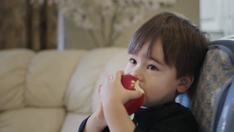 Un-Niño-De-Dos-Años-Come-Una-Gran-Manzana-Roja.