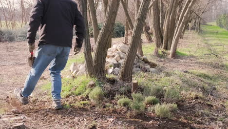 a guy in blue jeans and black winter jacket walks and cleans the area in the woods during a sunny afternoon - static shot in slow motion