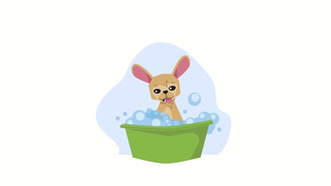 mascota de perro en la animación de la bañera