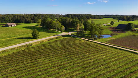 aerial view of a picturesque farmland
