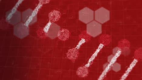 Animation-of-a-double-helix-DNA-strand-rotating-over-flickering-hexagons-on-red-background.-