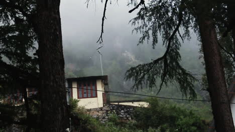 view of dense fog movement from the space between two tall trees against a scenic, forest background in mussoorie, slow motion shot.