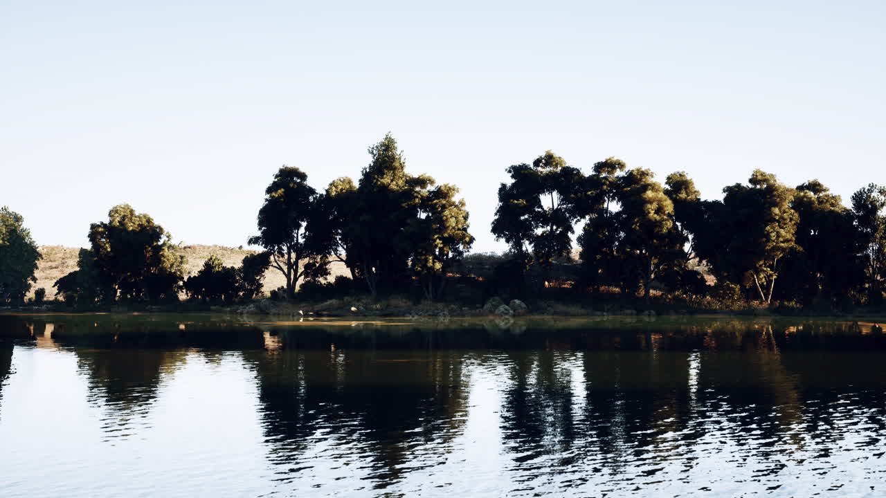 Tranquil lakeside panorama featuring lush trees and calm water reflections
