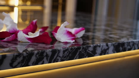 rose petals on a modern kitchen countertop