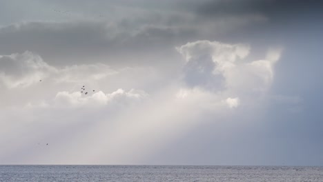 Un-Pequeño-Flujo-De-Pájaros-En-El-Cielo-Sobre-El-Mar