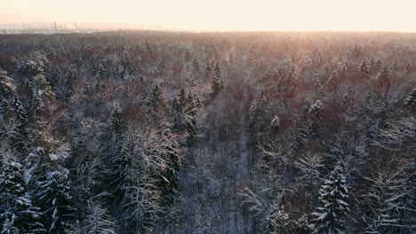 Luftaufnahme:-Winterwald.-Verschneiter-Baumzweig-Mit-Blick-Auf-Den-Winterwald.-Winterlandschaft,-Wald,-Mit-Frost-Bedeckte-Bäume,-Schnee.