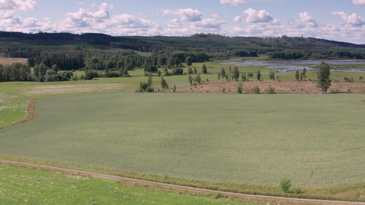 timelapse aéreo de 2 meses de cultivos que crecen en un campo arado