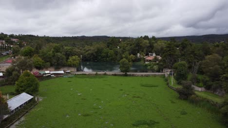 Drone-shot-of-lilies-at-lake