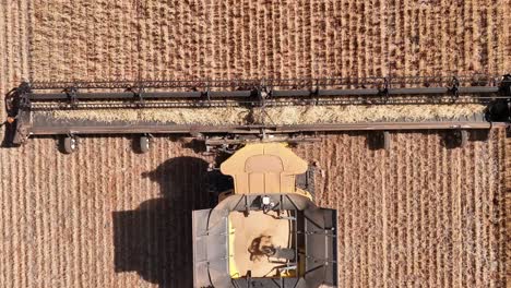 this footage captures the synergy of modern agricultural technology, showcasing the essential role of header fronts in the wheat harvesting process