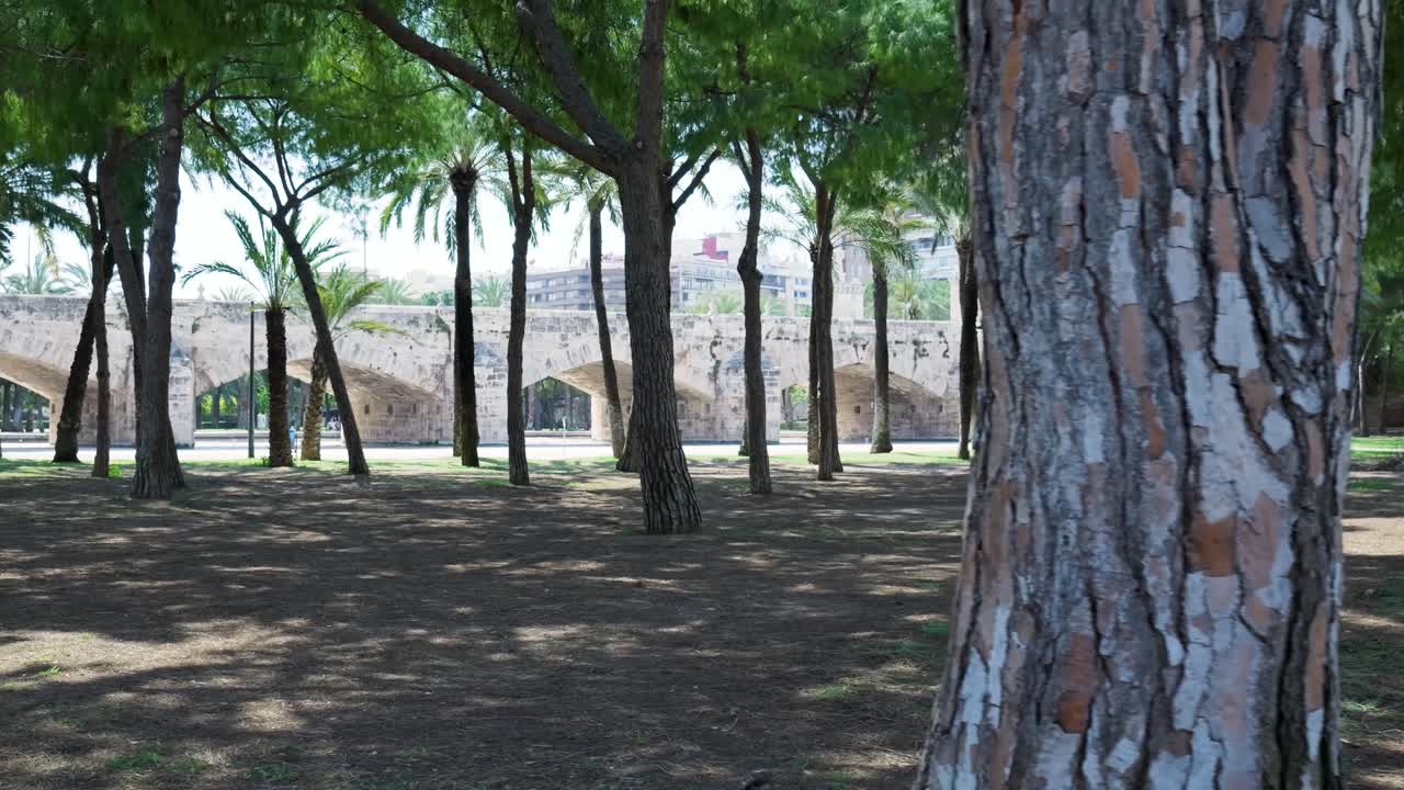 Park with a Stone Bridge