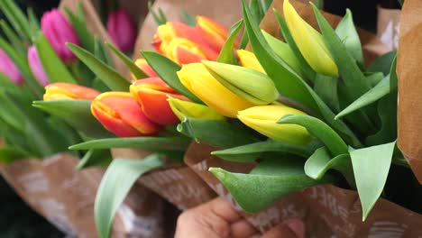 a close-up view of a bouquet of tulips in different shades of yellow, pink, and red