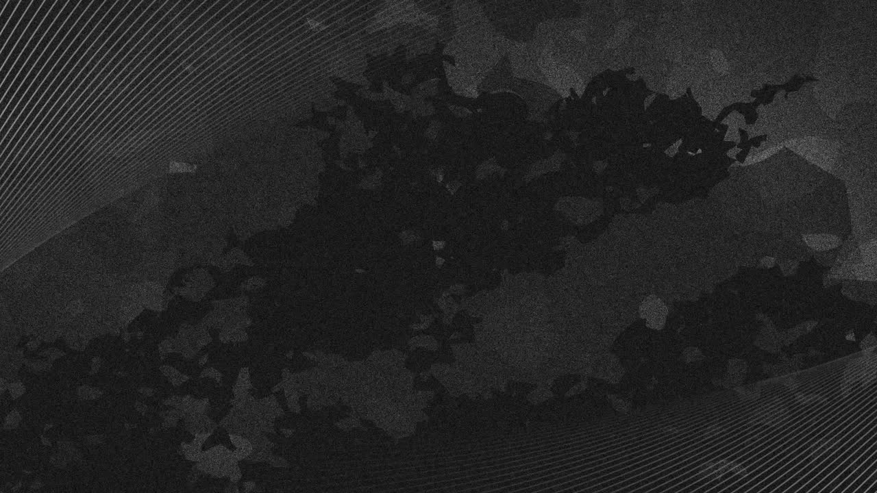 animación de líneas blancas en movimiento y formas negras sobre fondo gris