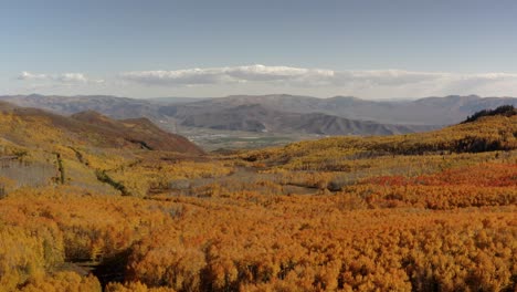 los coloridos colores cambiantes de los árboles del norte de utah