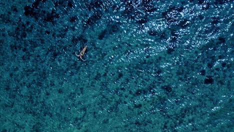 top-down-shot-of-blonde-woman-floating-in-wide-blue-water,-aerial