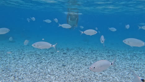 teenager swims underwater