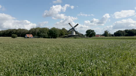 Foque-De-Molino-De-Viento-Tradicional-Detrás-De-Campos-De-Trigo-Verde