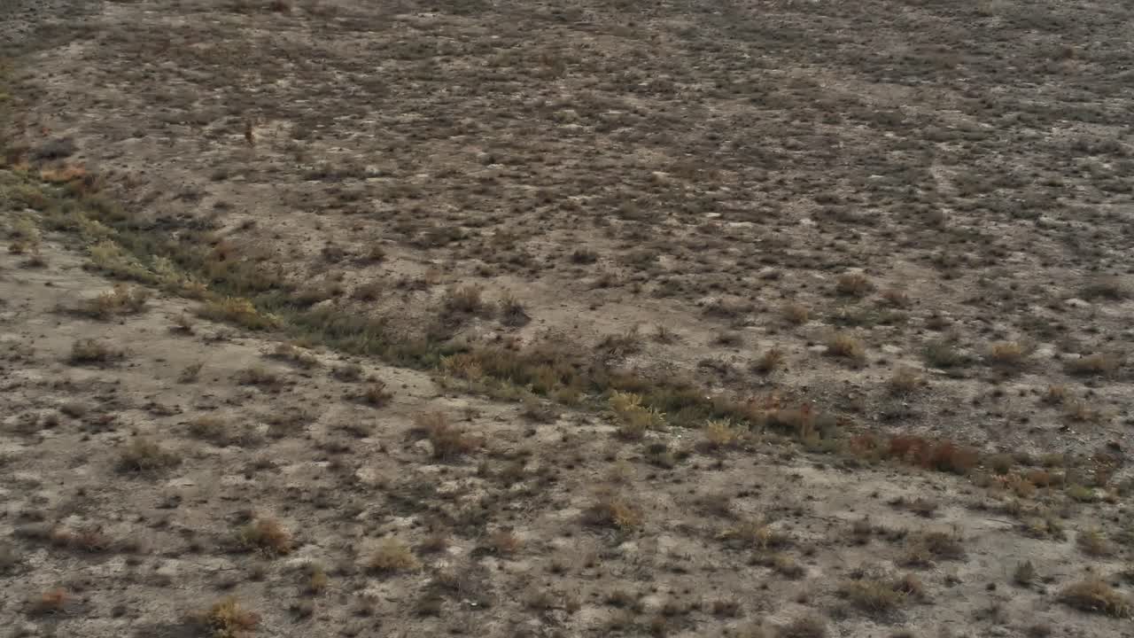 Landscape in Georgia with dry ground and sparse vegetation at midday