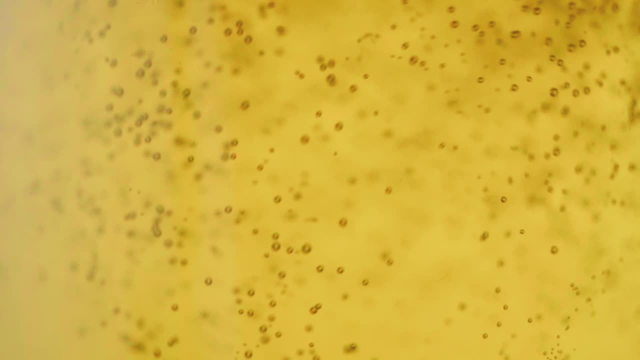 burbujas giratorias en un vaso de cerveza ámbar espumosa