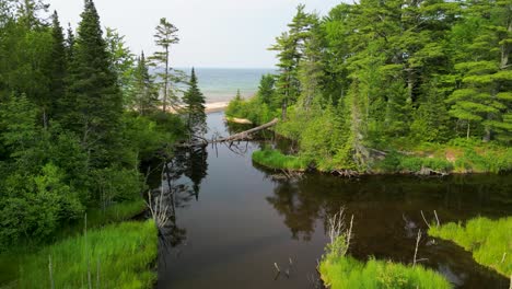 aerial flyover still lake through trees out to beach of lake superior, michigan