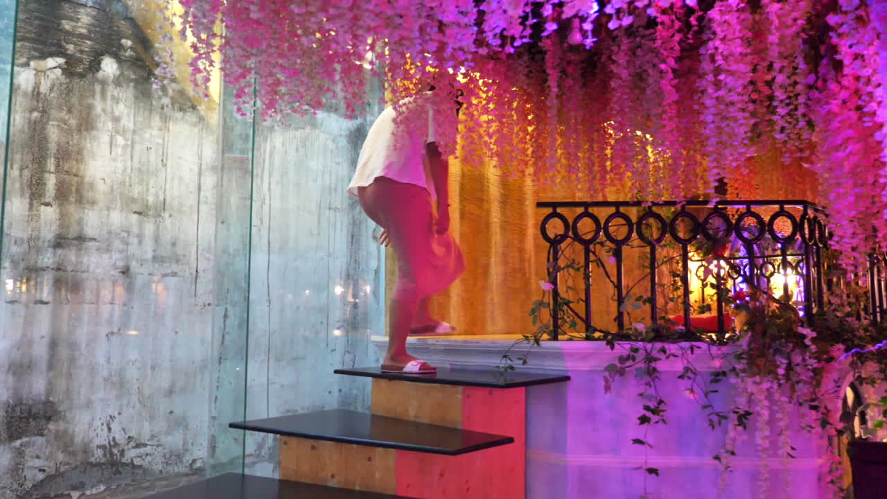 고양이가 지나가는 동안 여자는 고양이 카페에서 계단을 올라