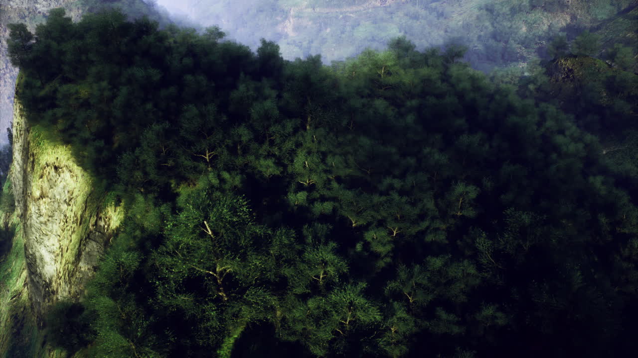 Lush Forest on a Mountain Cliff
