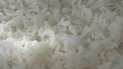 white rice with a slow movement rotation of camera, with some soft light