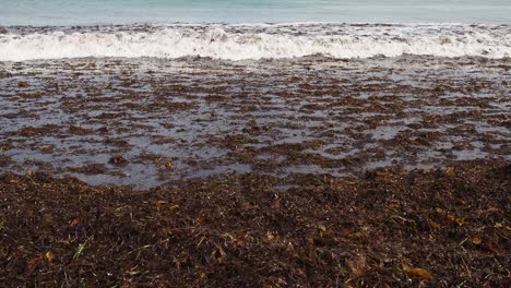 la ola de agua blanca se rompe sobre las algas y salpica sobre el yeso de la playa