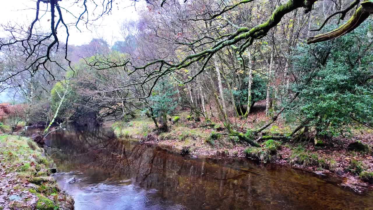 irlanda lugares épicos paisaje de invierno irlandés arroyo en movimiento lento bosque espeluznante en wicklow irlanda
